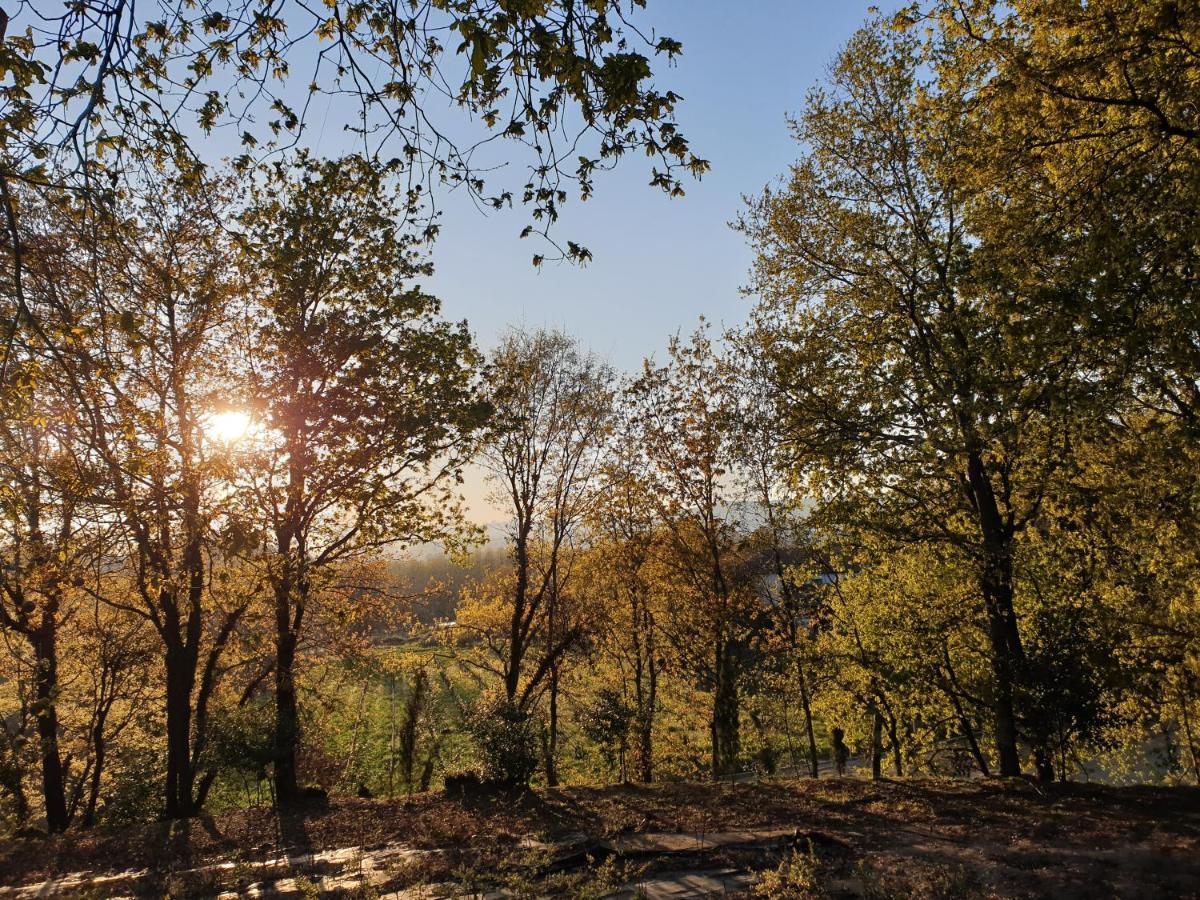 Quinta Das Essencias Penafiel Buitenkant foto