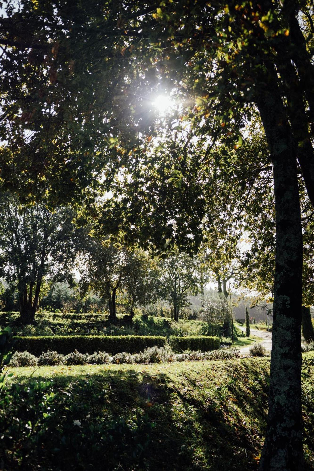 Quinta Das Essencias Penafiel Buitenkant foto